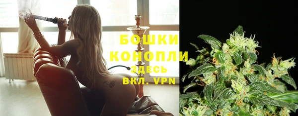 прущий лед Богданович