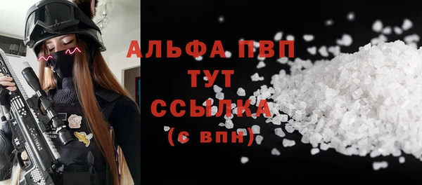 прущий лед Богданович