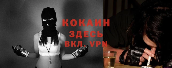 прущий лед Богданович