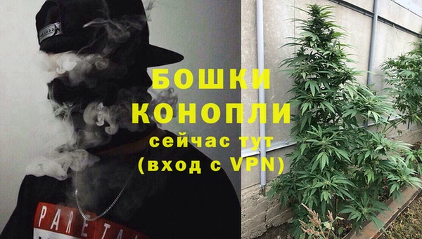 дурь Богородск