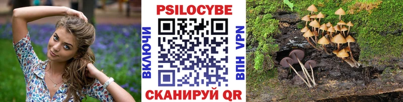 Псилоцибиновые грибы мицелий  хочу   площадка Telegram  Кирс 